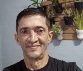 Renato Pereira, 53 года, São José dos Campos