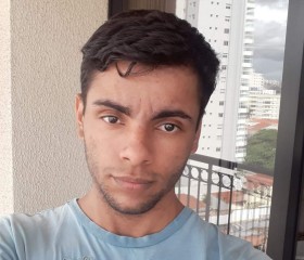 Felipe, 30 лет, São Paulo capital