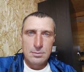Denis, 52, Moscow