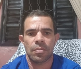 Aloizio, 47 лет, Região de Campinas (São Paulo)