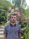 Hamid, 31  , Damavand