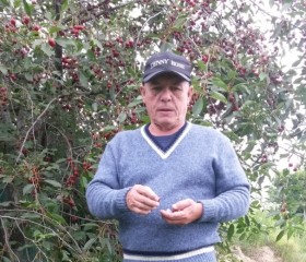 ВЛАДИМИР, 73 года, Київ
