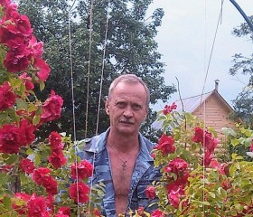 Евгений, 65 лет, Нижний Новгород