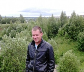 Андрей, 40 лет, Галич