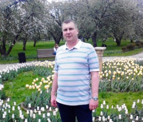 Николай, 55 лет, Домодедово