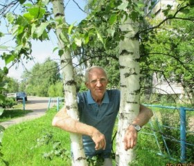 Павел, 67 лет, Котлас