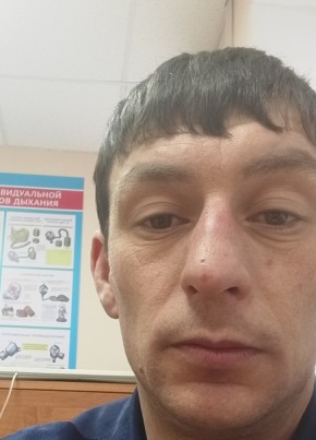 Иван Домашевский, 36, Россия, Няндома