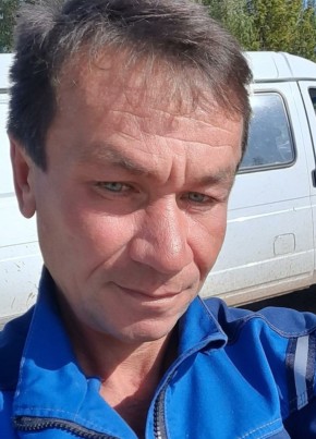 Олег, 49, Россия, Лакинск