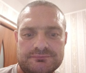 Сергей, 43 года, Омск