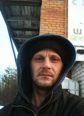 Дмитрий, 38, Россия, Лоухи