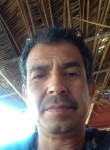 Pedro Alvarez, 50 лет, Tlacote Bajo