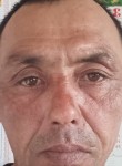Stepa Vlasevskiy, 47, Moscow