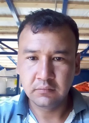 borzorby, 39, Russia, Moscow