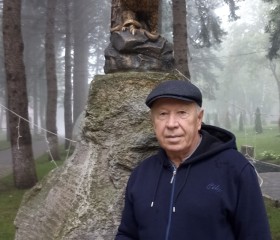 Viktor, 69, Taganrog