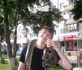 Александр, 38 лет, Мошково
