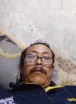 Tata, 51 год, Kota Bekasi