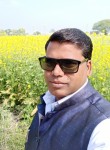 Pramod , 37 лет, Kanpur