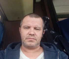 Толян, 44 года, Новосибирск