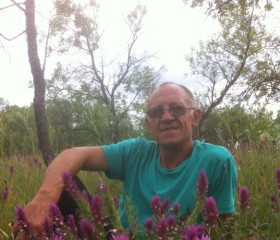 Сергей, 63 года, Милютинская