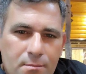 Mikayil, 39 лет, Şirvan