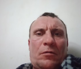 Виктор, 44 года, Набережные Челны