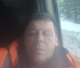 Алексей, 50 лет, Окуловка