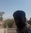 رضا