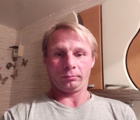 Сергей, 41 год, Большой Камень