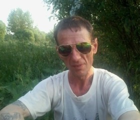 Станислав, 52 года, Нижний Тагил