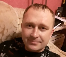 alexander, 46 лет, Владимир