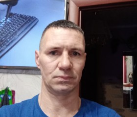 Василий, 44 года, Кировград