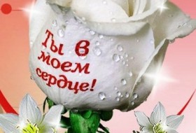 Дмитрий, 62 - Альбом Белые цветы№3