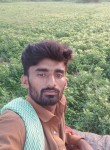 Jat bhaloch, 24 года, Māndvi