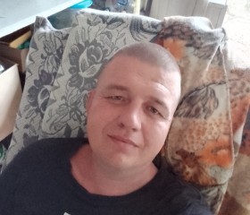 Владимир, 43 года, Бердянськ