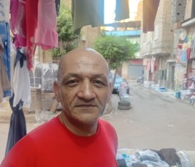 Hfh, 36, Cairo