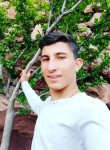 Muhammed, 19 лет, Şırnak