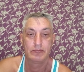Сергей Гришин, 51 год, Саки