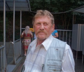 Александр, 67 лет, Краснодар