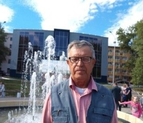 Евгений, 74 года, Иваново