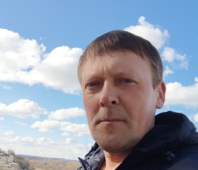 Денис Мыльников, 49 лет, Киров (Кировская обл.)