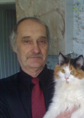 Виктор, 74, Україна, Кременчук