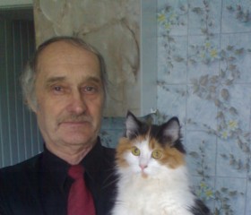Виктор, 74 года, Кременчук