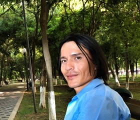 Dan, 33 года, Toshkent