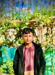 Toran hilal, 19 лет, کابل