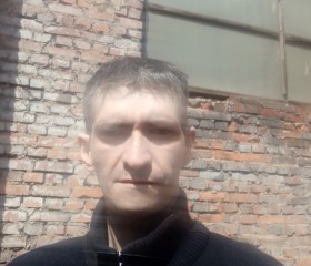 Илья Николаенков, 34 года, Дорогобуж