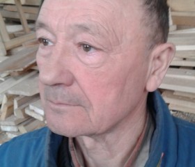 Петр, 72 года, Оренбург