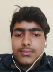 Juhg, 20 лет, Vasind