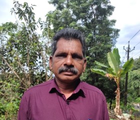 Gopalan, 40 лет, Pathanāmthitta
