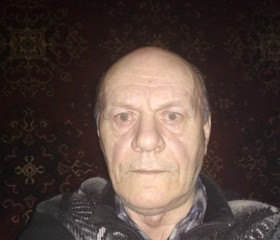 Владимир, 72 года, Санкт-Петербург