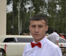 Дамир, 34 года, Новосибирск